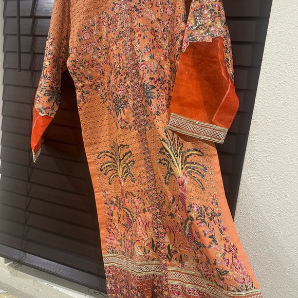 Pakistani dresses - Picture 3 of 11